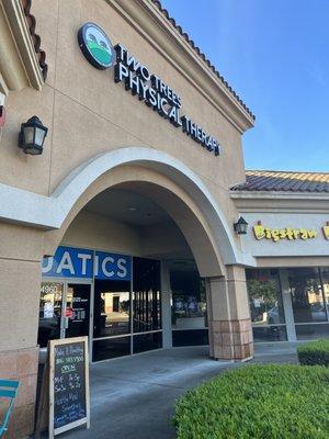 Two Trees Physical Therapy