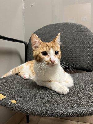 Parkway Small Animal & Exotic Hospital