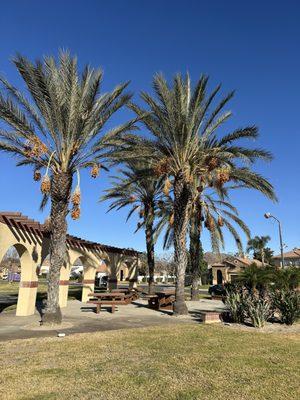 Matthew Tree Service