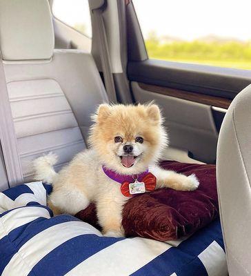 One satisfied customer