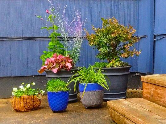 Stonybrook Landscape Design