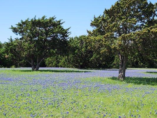 Galilean Baptist Church