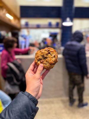 Chocolate Chip Walnut Cookie