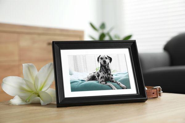 Pet Keepsakes & Cremation