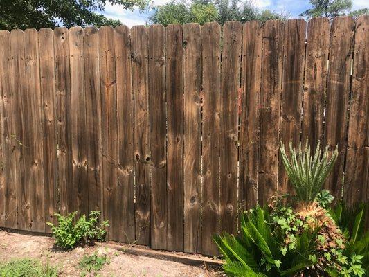 budget outdoor solutions