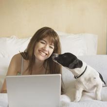 Adam's Lawn Care & Pest Control Of Oklahoma