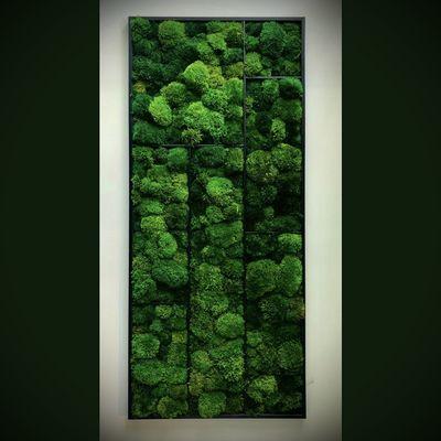 2 ft by 4 ft pillow moss in matte black frame.