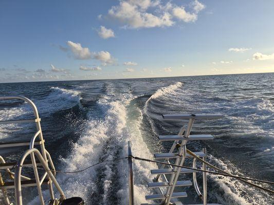 Conch Republic Divers