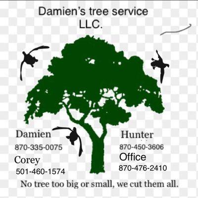 Damien’s Tree Service