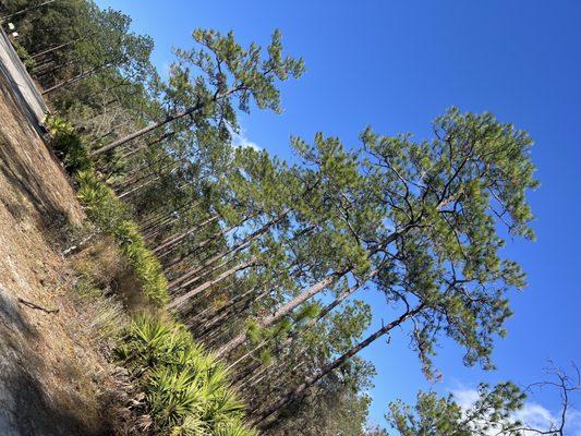 Morningside Nature Center