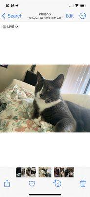 Parkway Animal Clinic