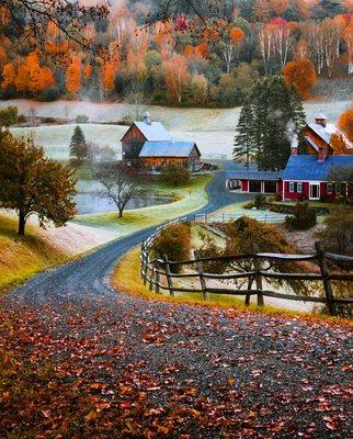 Jennifer Falvey - Best Vermont Realtor