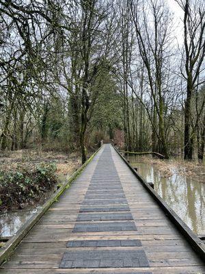 Orchard Park loop trail
