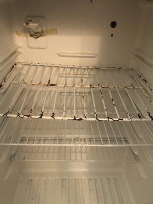 Disgusting fridge