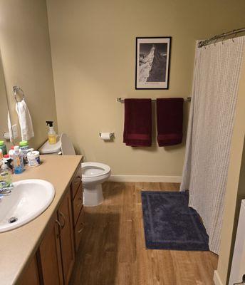 Bathroom in One Bedroom Unit