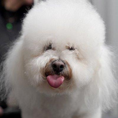 Pet Supplies Plus Tulsa - Brookside