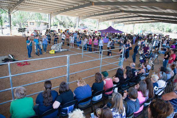 Our free annual equine health fair is always a fun and educational day.