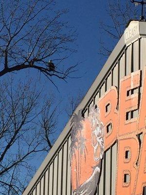 Patterson Harbor Marina