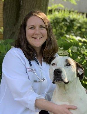 Pet Dermatology Clinic