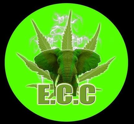 Look for the GREEN DOT!!!