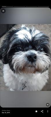 Cameron Veterinary Hospital