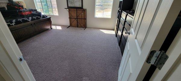 Evergreen Carpet Care