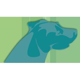 Alpine Trail Veterinary