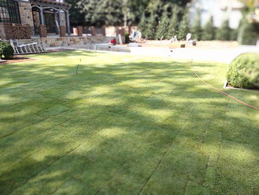 Installation of sod ( zoysia ) 6 pallets in total.