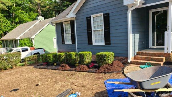 Brother Bear Tree Service And Landscaping