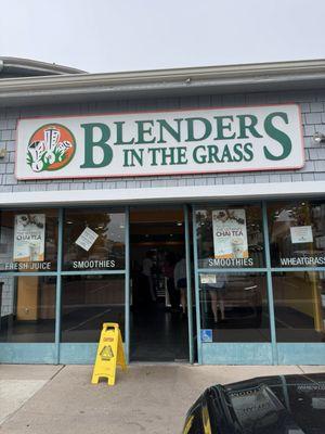 Blenders In the Grass