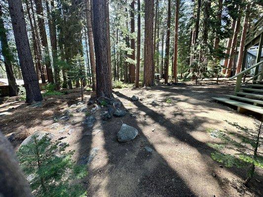 EN Tahoe Landscaping