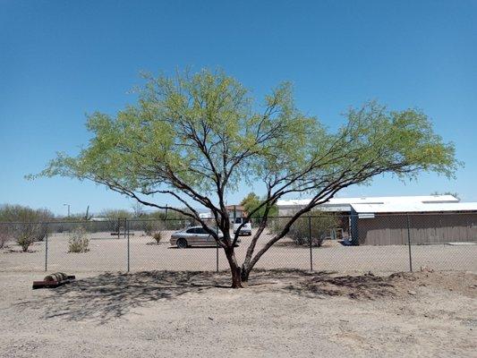 H&R Landscape & Handyman