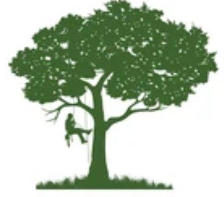 All About Trees n Totems