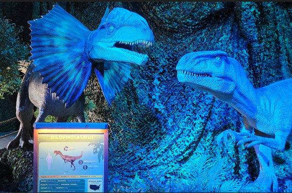 The dilophosaurus is always a hit.