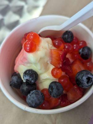 They even have dairy free vegan yogurt. Fresh fruit and boba.yum