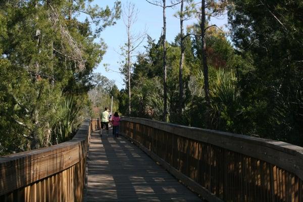 Bridge on the hiking trail.