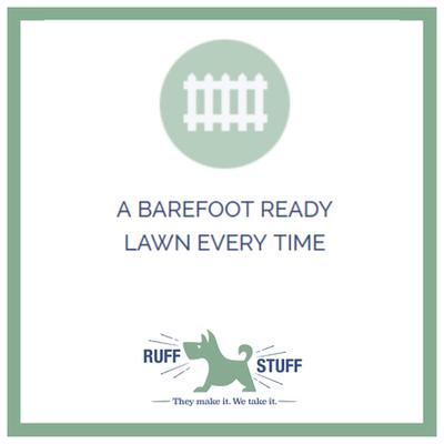 A barefoot ready lawn every time