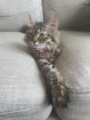 Tilly reminiscing about her stay