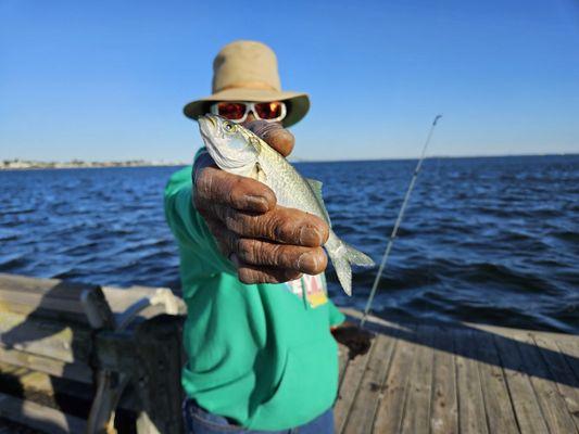 Babylon Village Dock