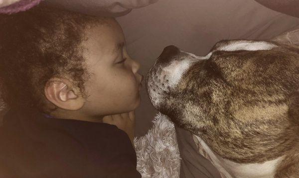 Mabank Animal Hospital