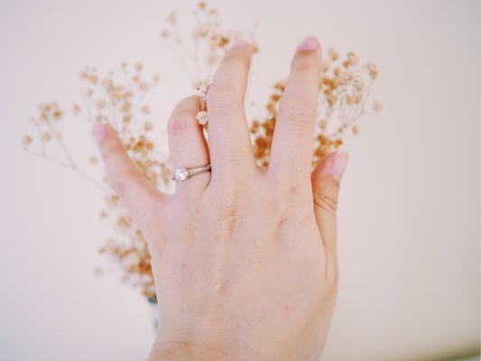 Rose and Paper Photography