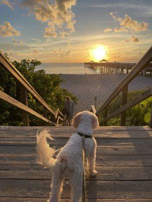 Austin Bennett - Kiely Real Estate