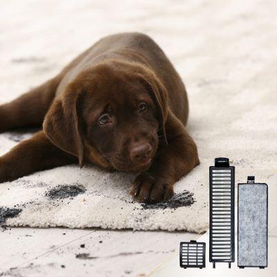 Carter Sweeper Sales