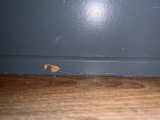 Grizzly Painting & Other Trades