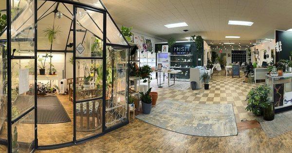 Prism and the rare plant greenhouse