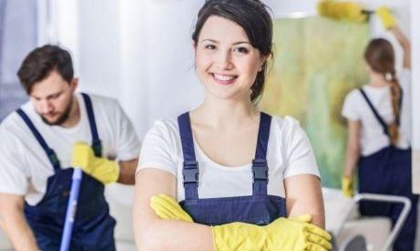 Carpet Cleaning Mejia