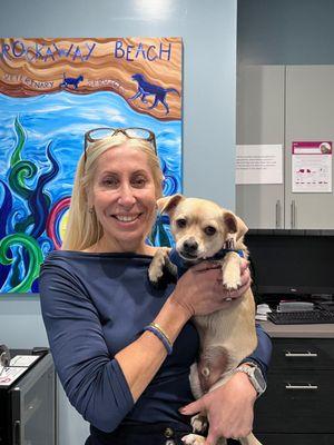 Rockaway Beach Veterinary Services