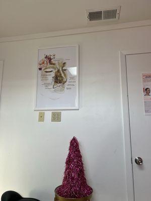 Higher Level Skin and Beauty