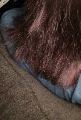 This is what Stephanie called beautiful to cover her butt!