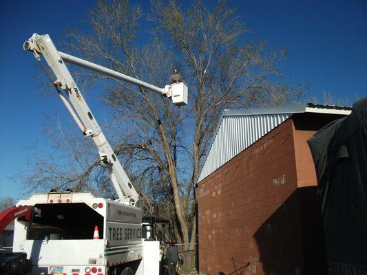 All Care Tree Service